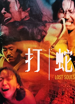 打蛇LostSouls1980BD1080PX264AAC国粤双语中字-aos