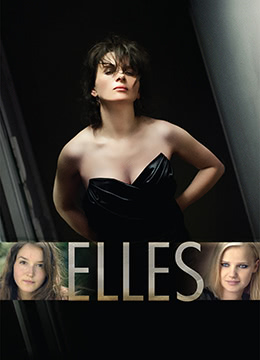 她们.elles.2012.BD720P.高清法语中字海报剧照